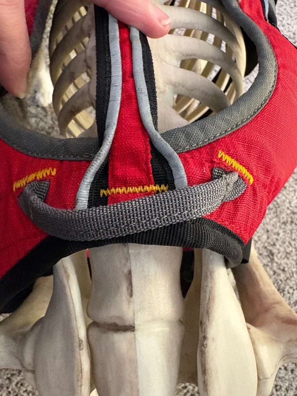 Ruffwear 5-point Webmaster Dog Harness with handle